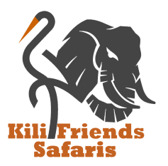 cropped Kili Friends 1
